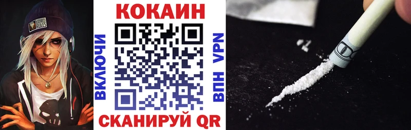 Cocaine FishScale  Краснослободск 