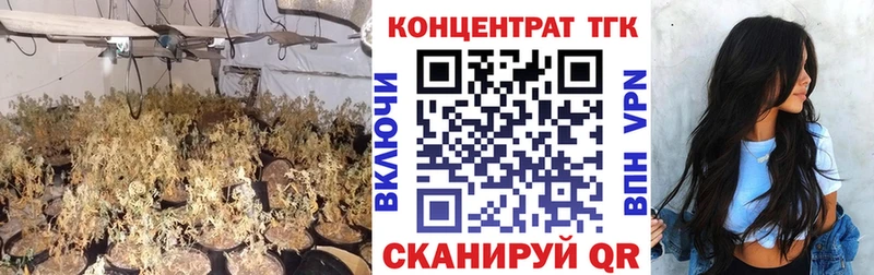 ссылка на мегу tor  Краснослободск  ТГК гашишное масло  как найти закладки 
